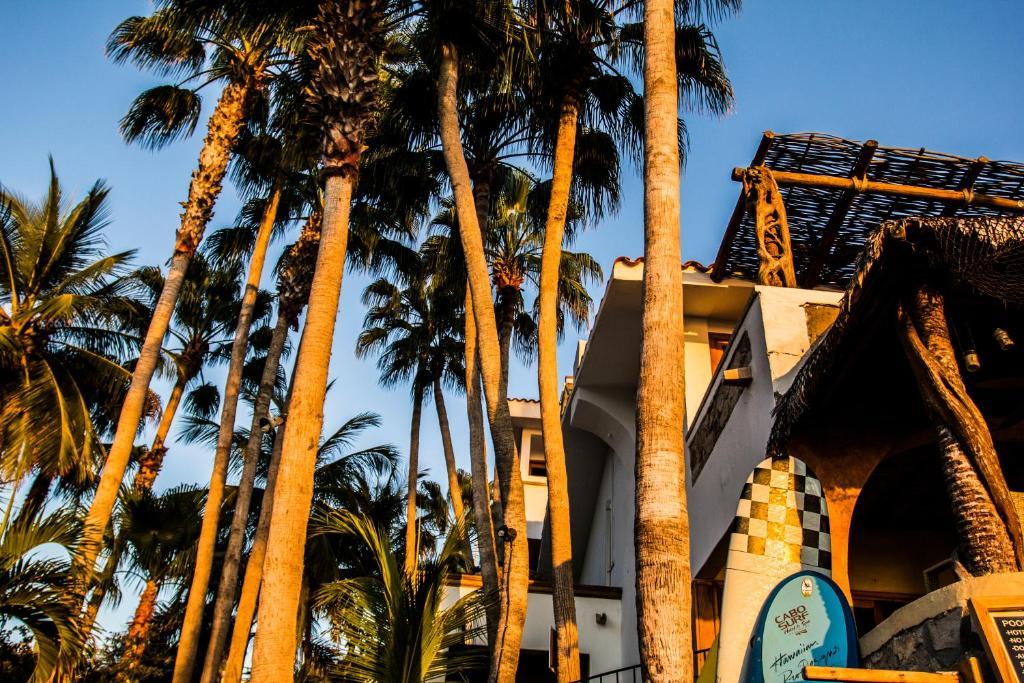 Cabo Surf Hotel San José del Cabo Eksteriør bilde