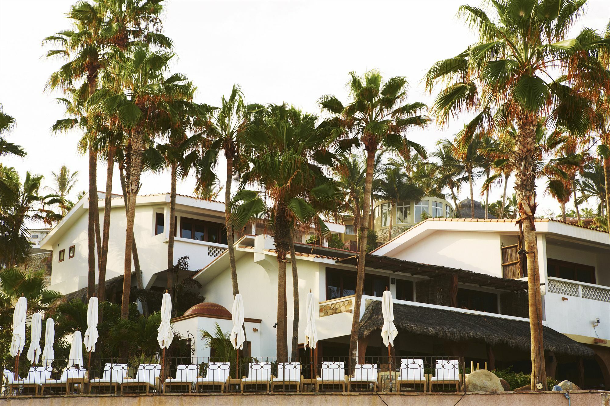 Cabo Surf Hotel San José del Cabo Eksteriør bilde